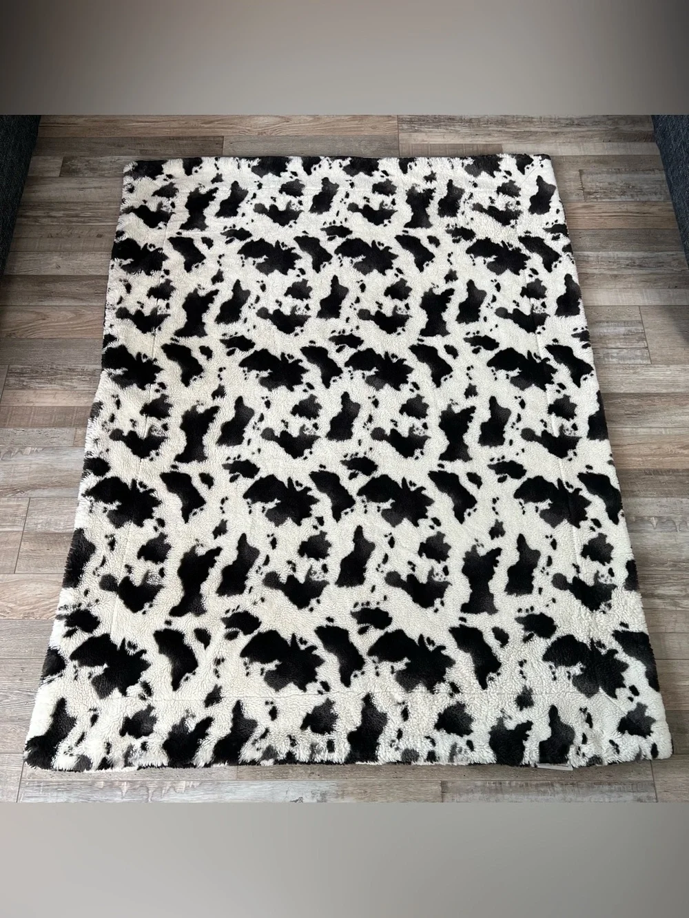 Minky Couture Urban Cowz Blanket- Adult Size